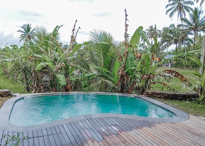 Umah Adenium 3 Vakantiehuis *